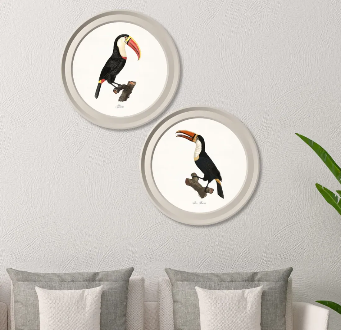 Pair of Toucans Prints in Round Grey Frame 1809