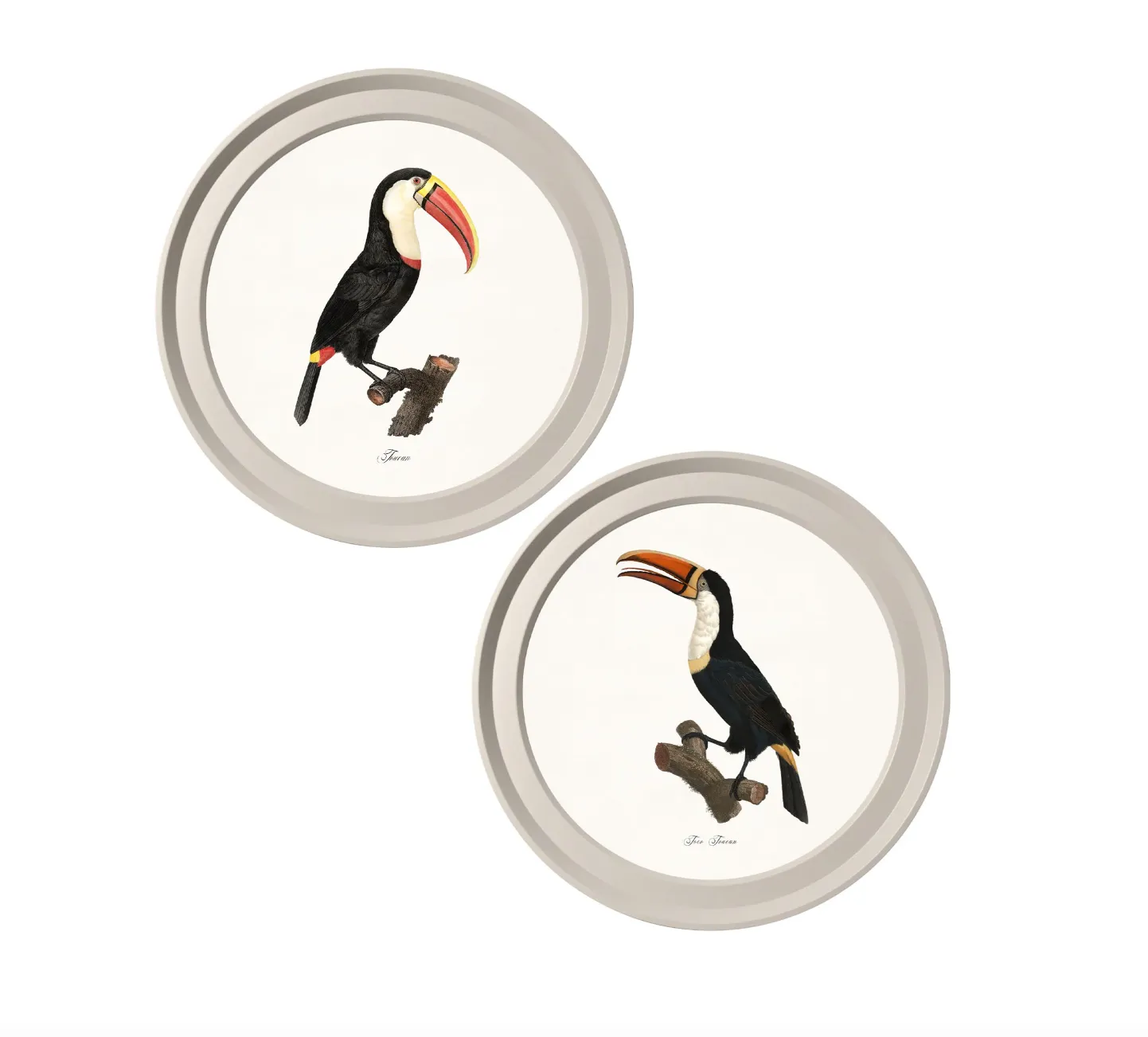 Pair of Toucans Prints in Round Grey Frame 1809