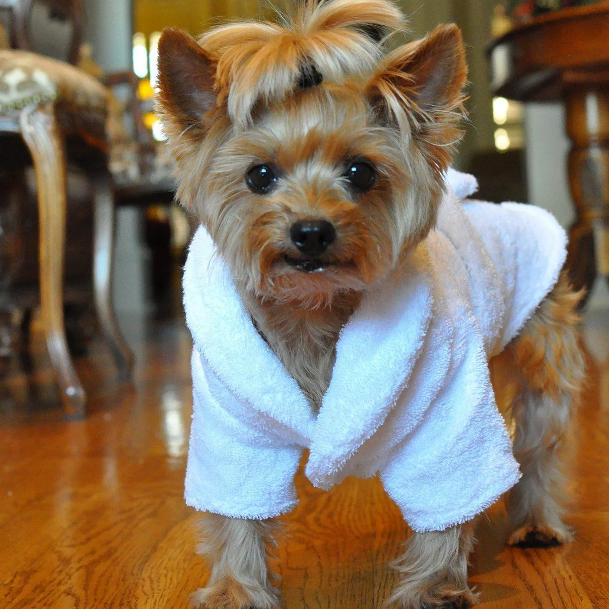 White Silver Tiara Cotton Dog Bathrobe